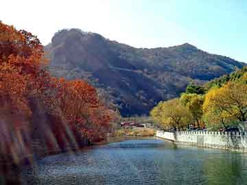 津巴布韋最新役情動(dòng)態(tài)，多角度解讀當(dāng)前局勢(shì)與影響，津巴布韋最新役情透視，多維度解析局勢(shì)與深遠(yuǎn)影響